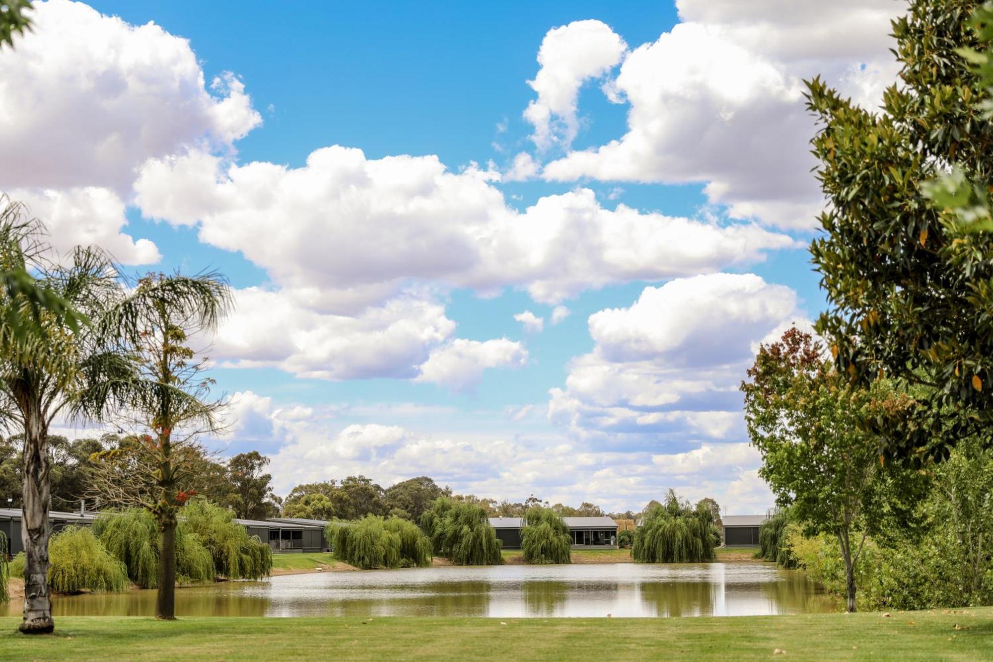 Discovery Parks - Moama Waters Luaran gambar